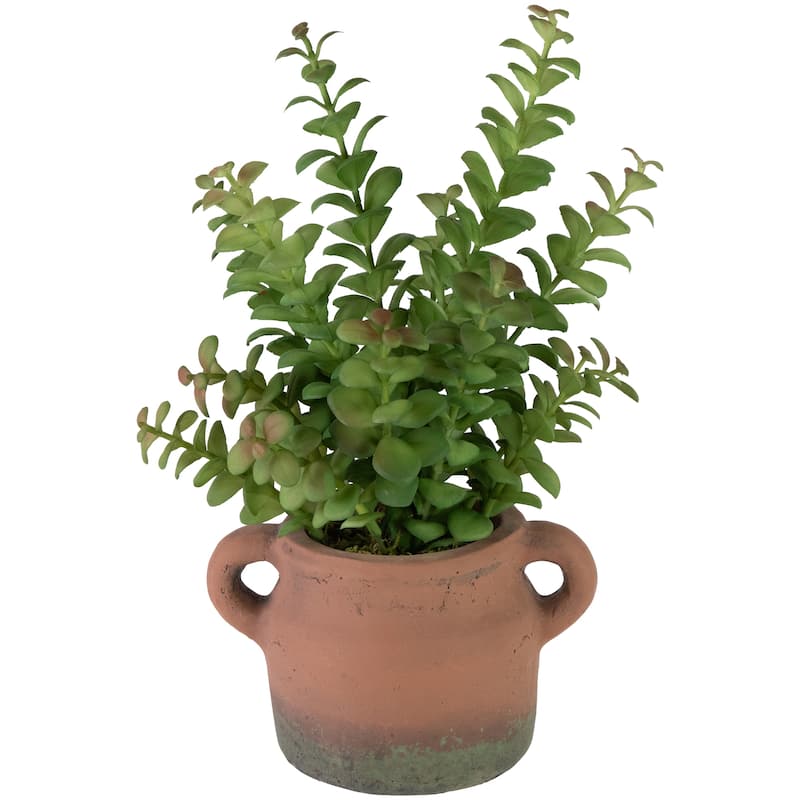 Artificial Privet Plant In Vintage Milk Can Style Earthenware Pot 14"