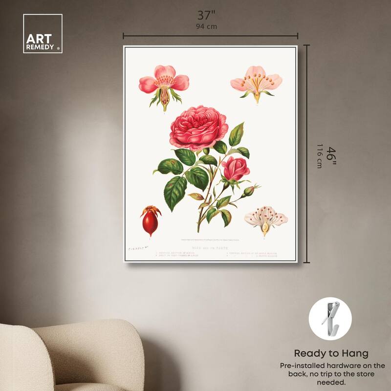 Rose and its parts (1872) Canvas by Art Remedy