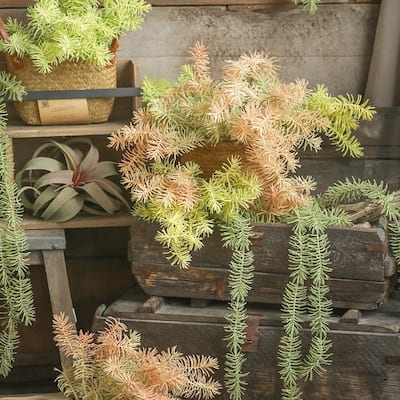 RusticReach Faux Pine Leaf Stem 17.7" Tall