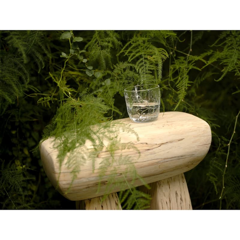 Moomin Glass Tumbler 9.5oz, Set of 2