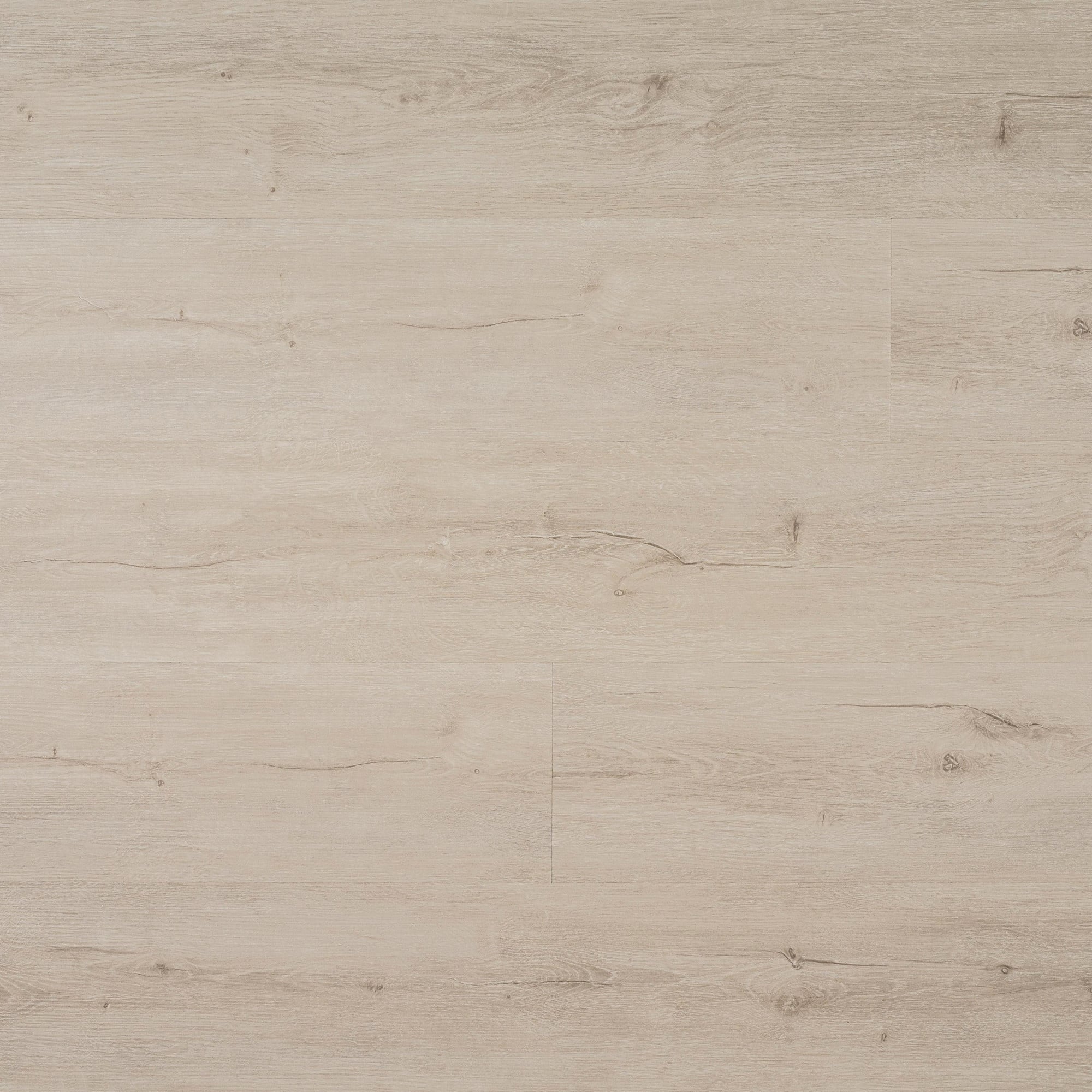 Option Frosty Fir