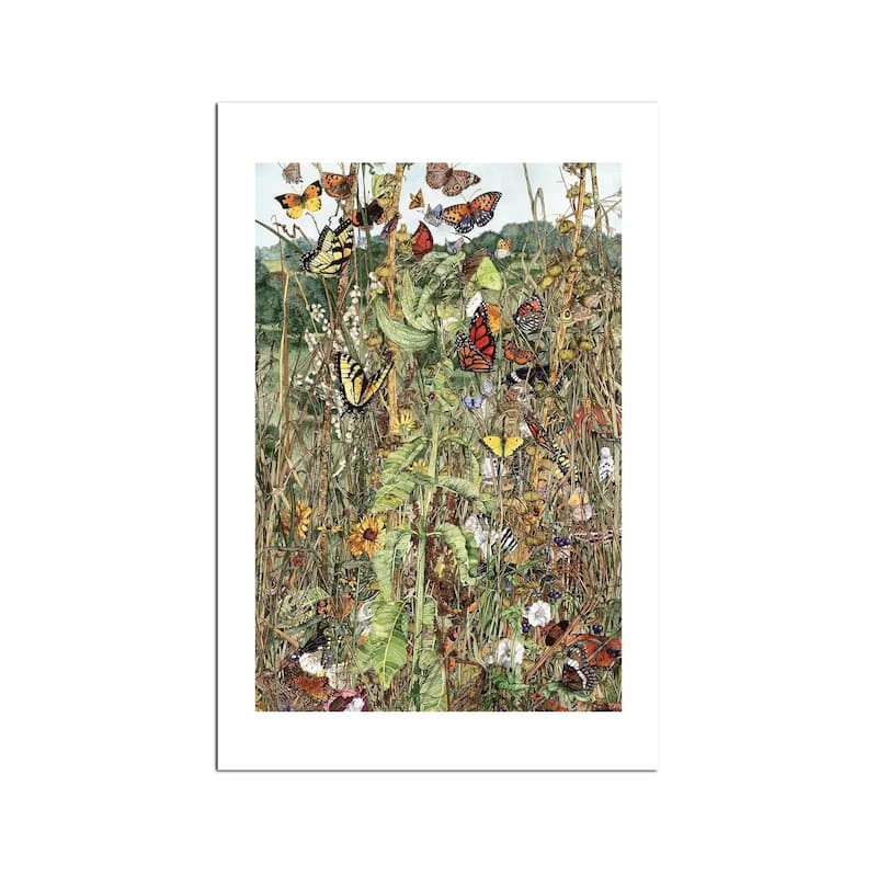 Late Summer Fine Art Paper Print by Maggie Vandewalle - Multi