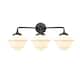 Option Oil Rubbed Bronze / Matte White Cased