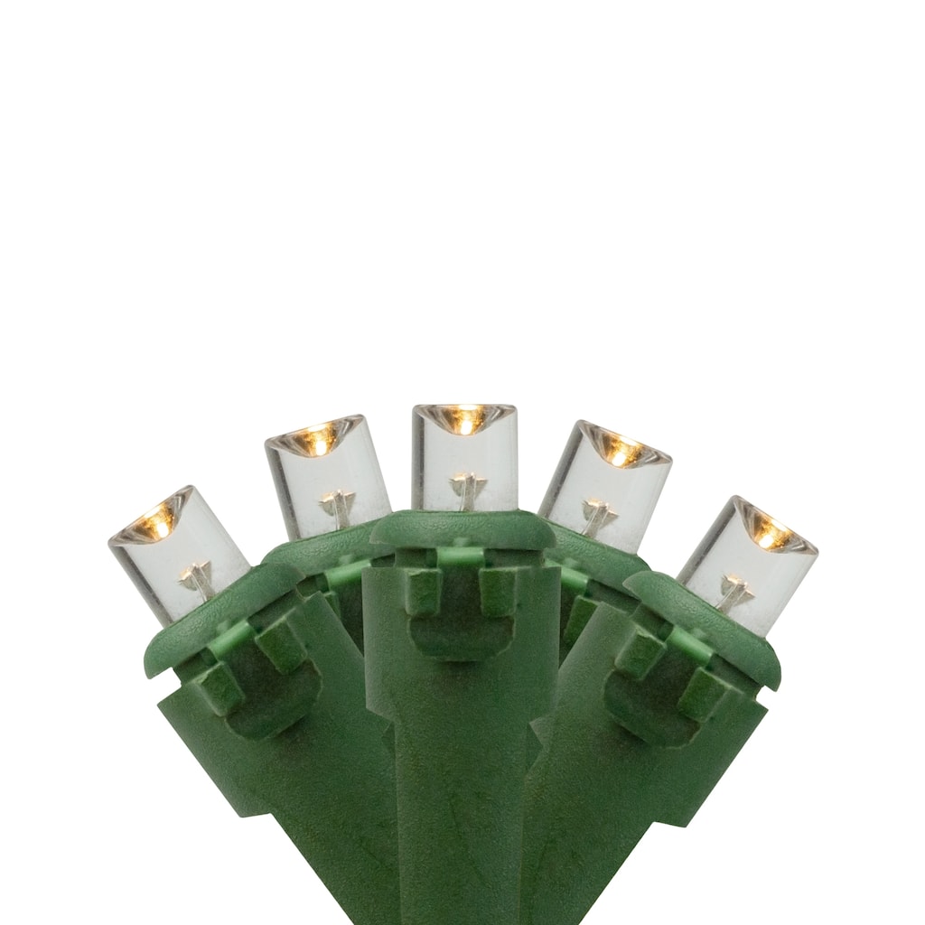 20 Battery Operated Warm White Wide Angle LED Christmas Lights - 9.5 ft Green Wire - 9.5'