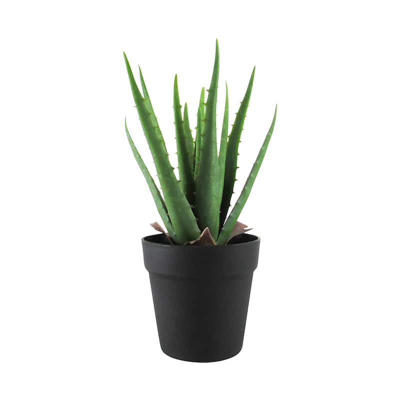 13.5in Artificial Real Touch Soft Aloe Succulent Plant in Black Pot - 13.5" H x 9" W x 9" DP
