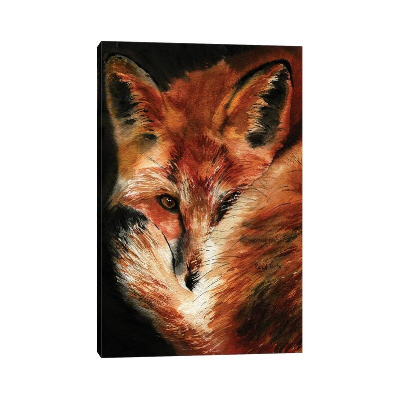 iCanvas "Fox Dreams" by Rachel Parker Canvas Print