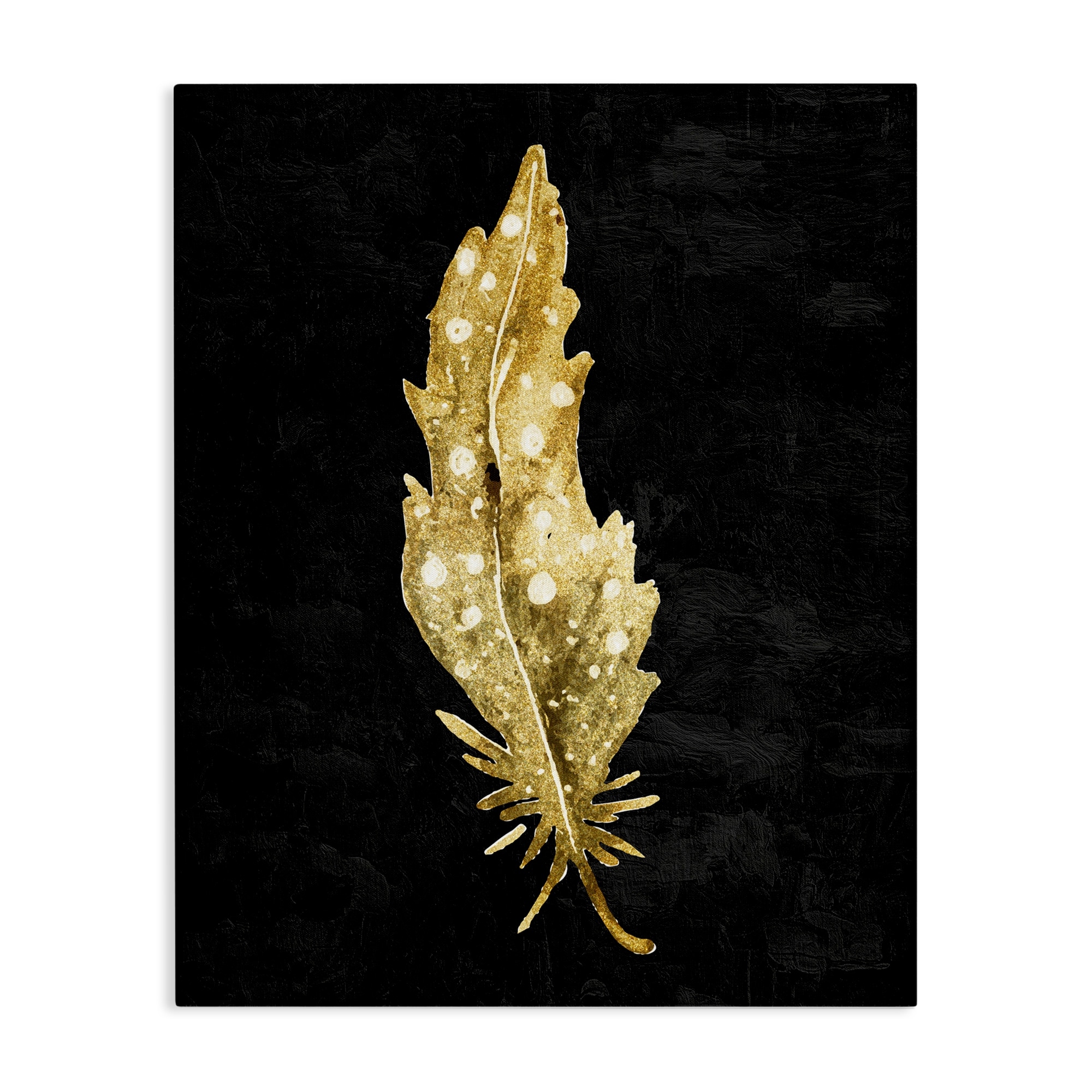 Stupell Feather On Black Canvas Wall Art Design By Kim Allen
