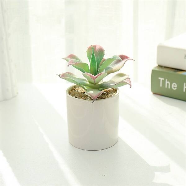 Artificial Succulents Realistic Naturalistic Plastic Assorted Decorative  Faux Succulent Potted Home Accessories - no - Bed Bath & Beyond - 35659454