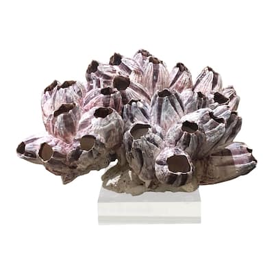 Barnacle Coral 8-10 Inch On Acrylic Base