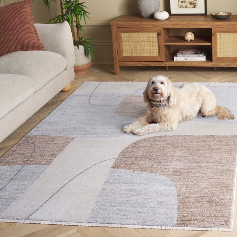 SAFAVIEH Forum Yelda Modern Contemporary Rug - 5' x 7'