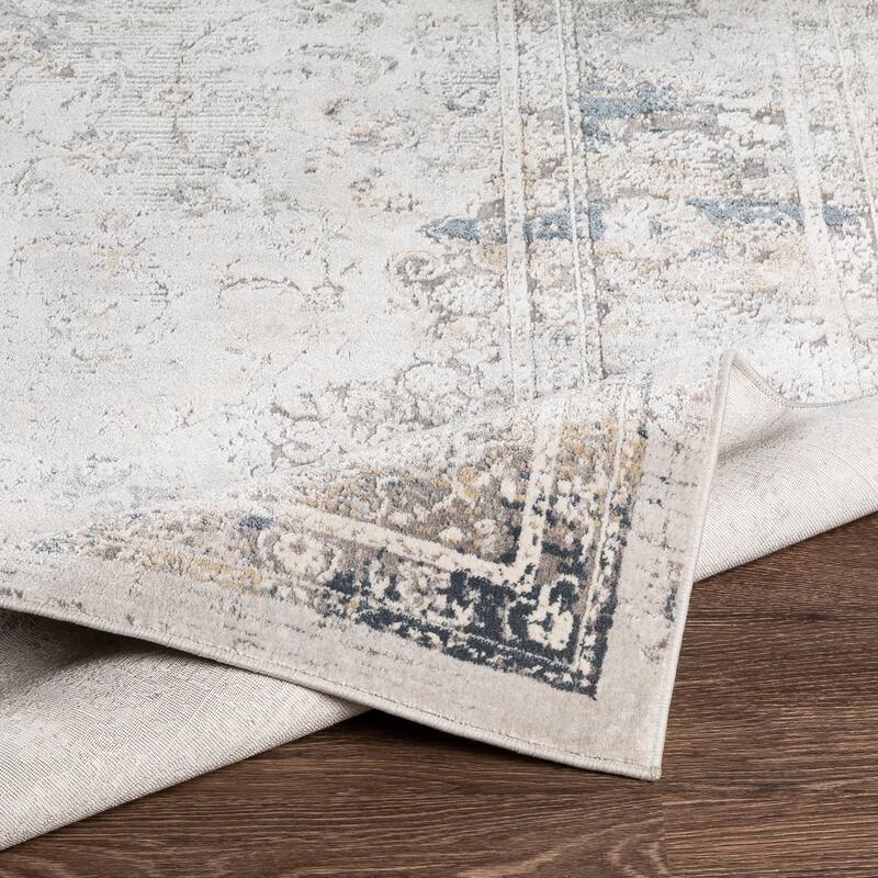 Artistic Weavers Vybbe Distressed Traditional Area Rug