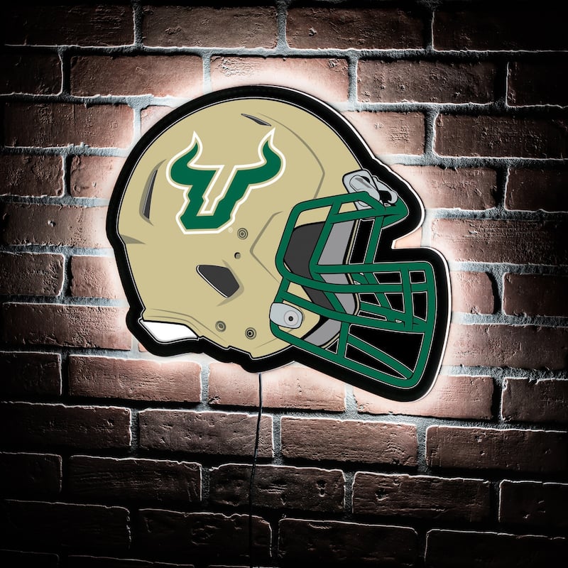 University of South Florida Round 23 in. Plug-in LED Lighted Sign