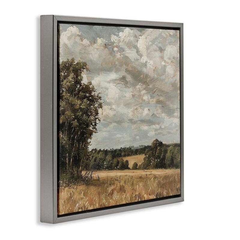Stupell Clouds Over Country Scenery Framed Floater Canvas Wall Art Design By LSR Creative Studio
