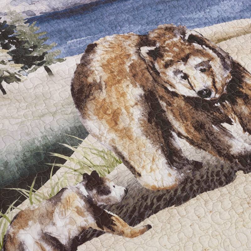 Donna Sharp Montana Morning 3 PC Quilt Set