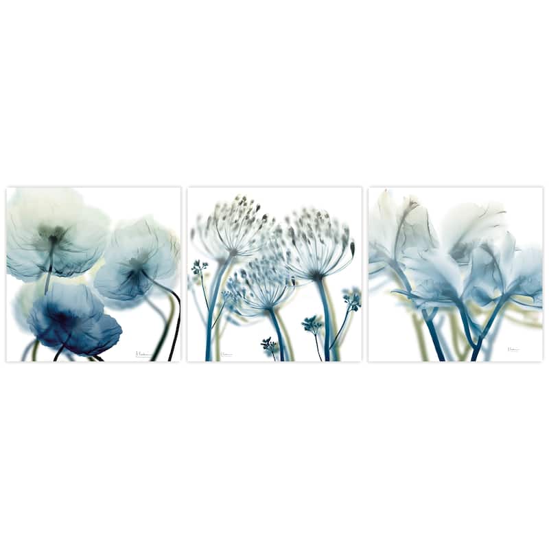 "Unfocused Beauty 1&2&3" Frameless Free Floating Tempered Glass Panel Graphic Wall Art