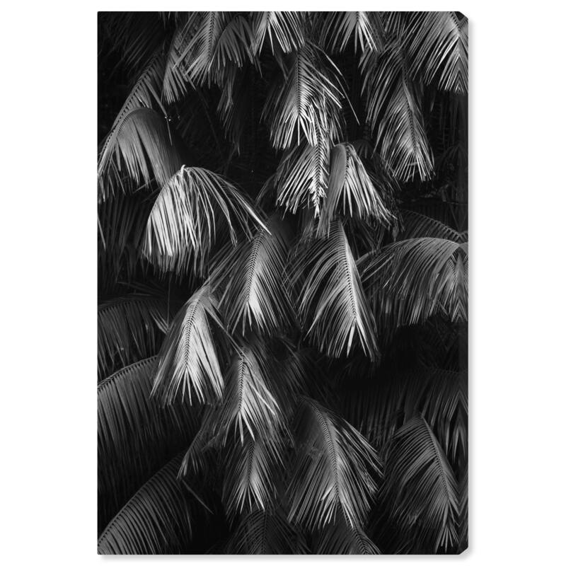 Wynwood Studio Canvas Floral and Botanical Las Palmas Black and Tropical Wall Art Canvas Print