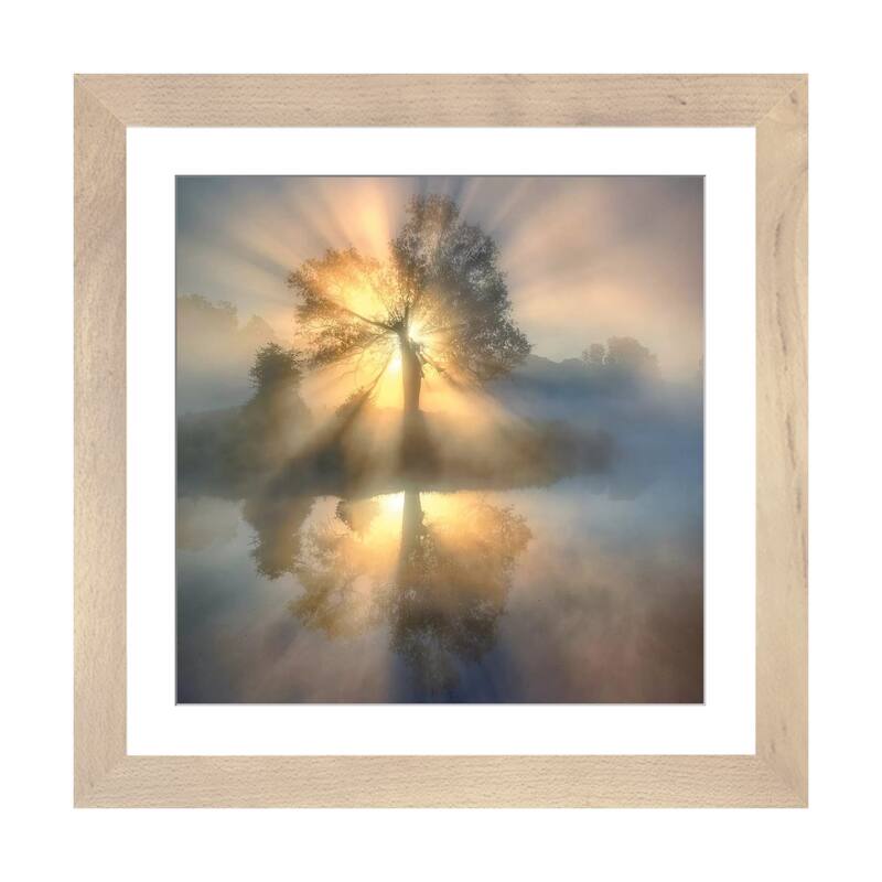 iCanvas "Tree of light" by keller - Natural - 16x16x1