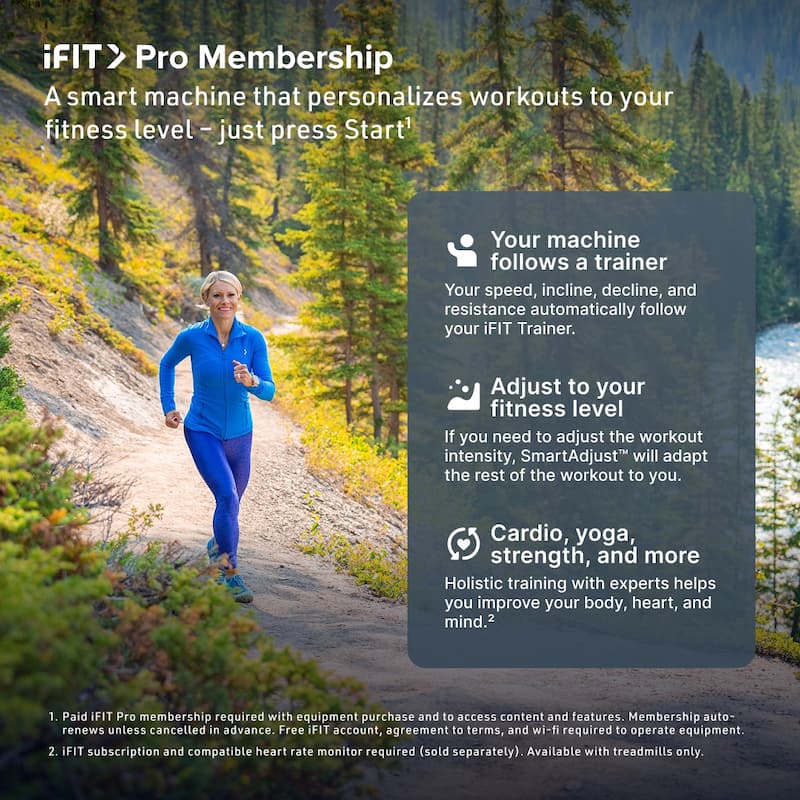 NordicTrack Step Climber