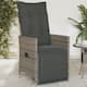 Option Grey With footrest