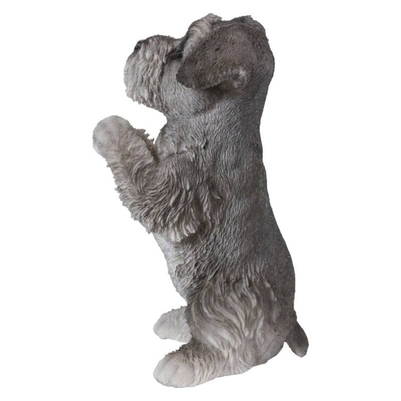 8.25" Praying Schnauzer Puppy Outdoor Garden Statue