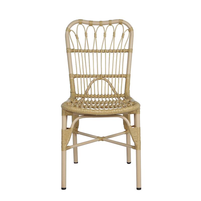 Christopher Knight Home - Modern Outdoor PE Wicker Dining Chairs, Set of 2