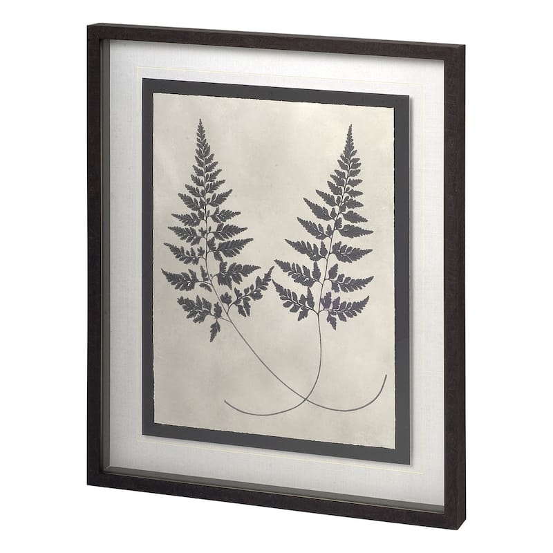 Vintage Fern Study I Framed Art Print