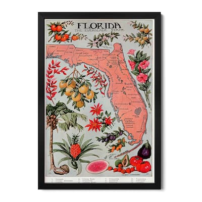State Map of Florida (Natural Resources) - Vintage Poster Premium Framed Poster by Unknown Artist