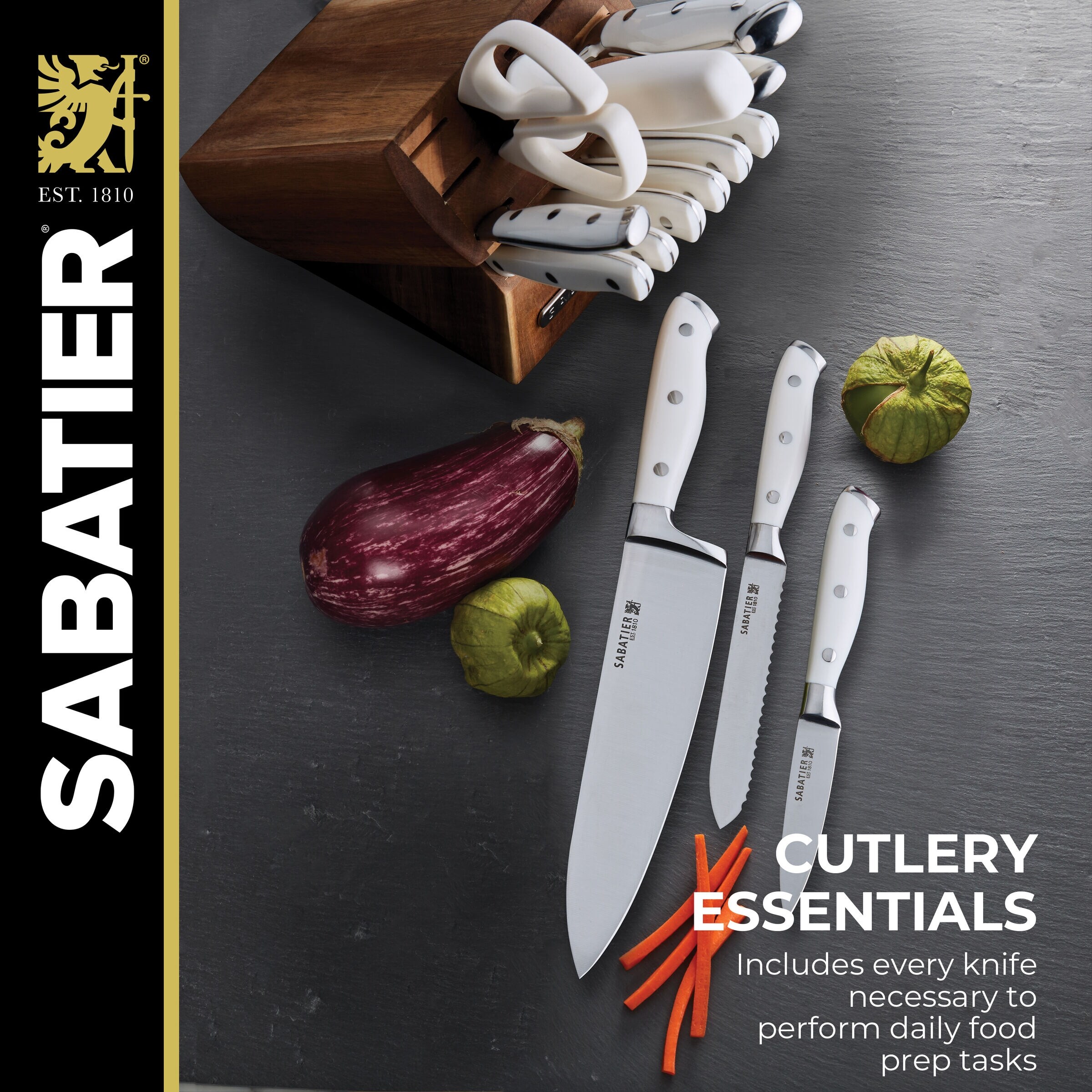 https://ak1.ostkcdn.com/images/products/is/images/direct/c73aebf6a85798b4ff937bdb15ef1262989edf63/Sabatier-15-Piece-White-Forged-Triple-Rivet-Cutlery-Set-with-Acacia-Block.jpg