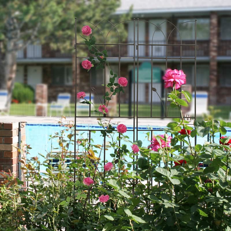 4 Pack Metal Garden Trellis for Climbing Plants