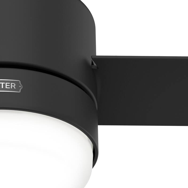 Hunter 44" Gilmour Outdoor Ceiling Fan with LED Light, Handheld Remote, Damp-Rated - Transitional, Contemporary
