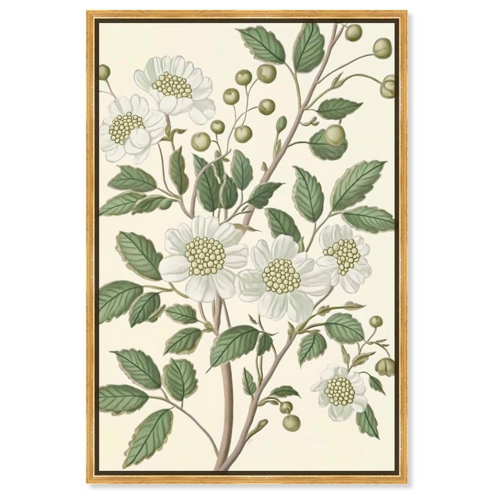 White Cherokee IV Canvas by Art Remedy