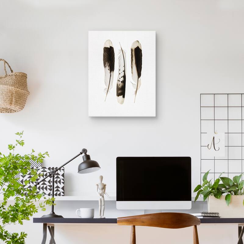Three Feathers by Nancy Crowell Canvas Art Print