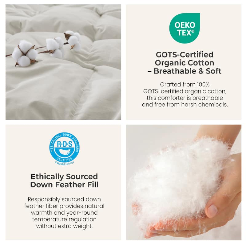 All Season 300TC Organic Cotton Down Comforter - 100% Natural, Chemical-Free, Medium Warmth Duvet Insert