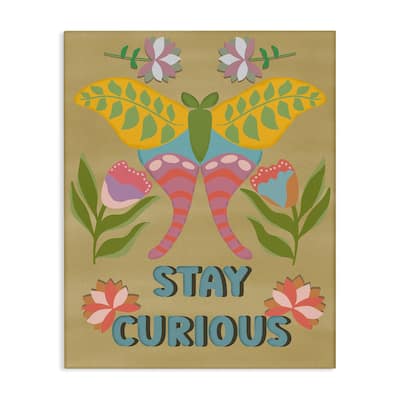 Stupell Stay Curious Butterfly Canvas Wall Art Design By Julia Fox