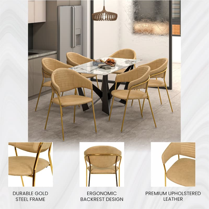 LeisureMod Bella Modern Mid-Century Leather/Velvet Dining Chair in Gold Stainless Steel Armchair for Home & Kitchen Banquet
