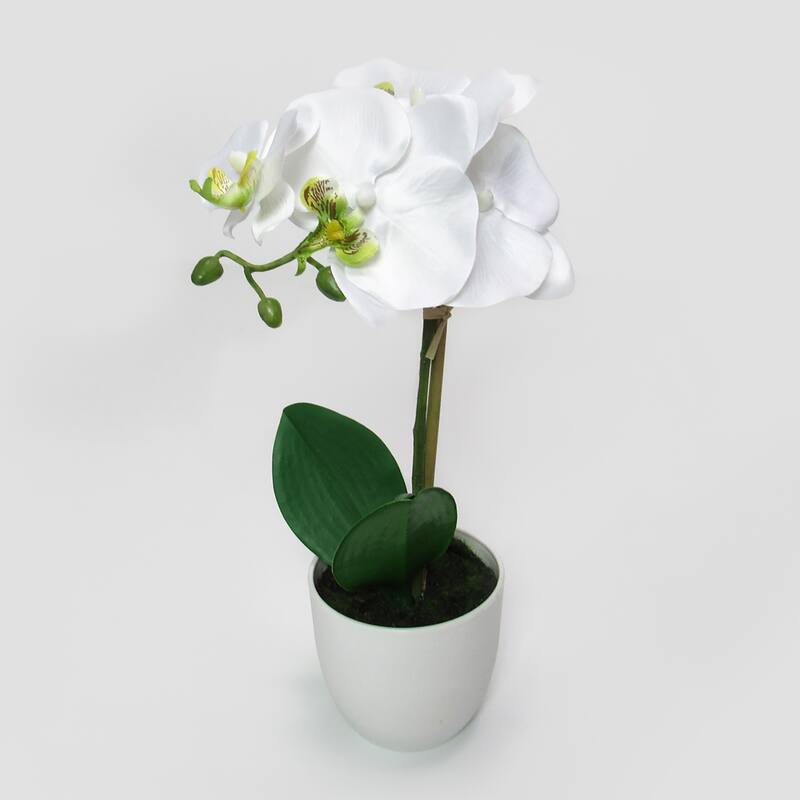 Artificial Phalaenopsis Orchid Flower Arrangement in White Pot 13in