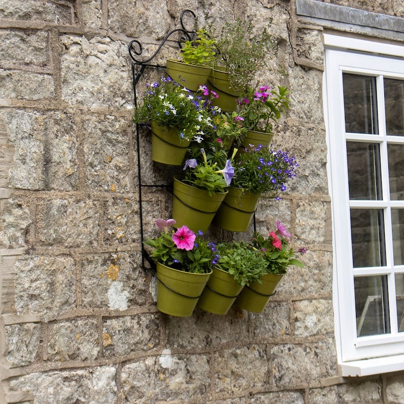 Haxnicks Decorative Outdoor Wall Plant Holders - Wall Plant Holder