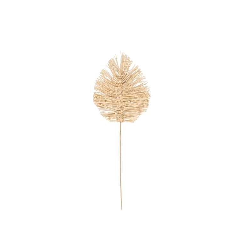 Dried Plant Tall Spear Home Decor Natural Foliage with Sharp Stems - Brown or Light Brown - Roche River Decor