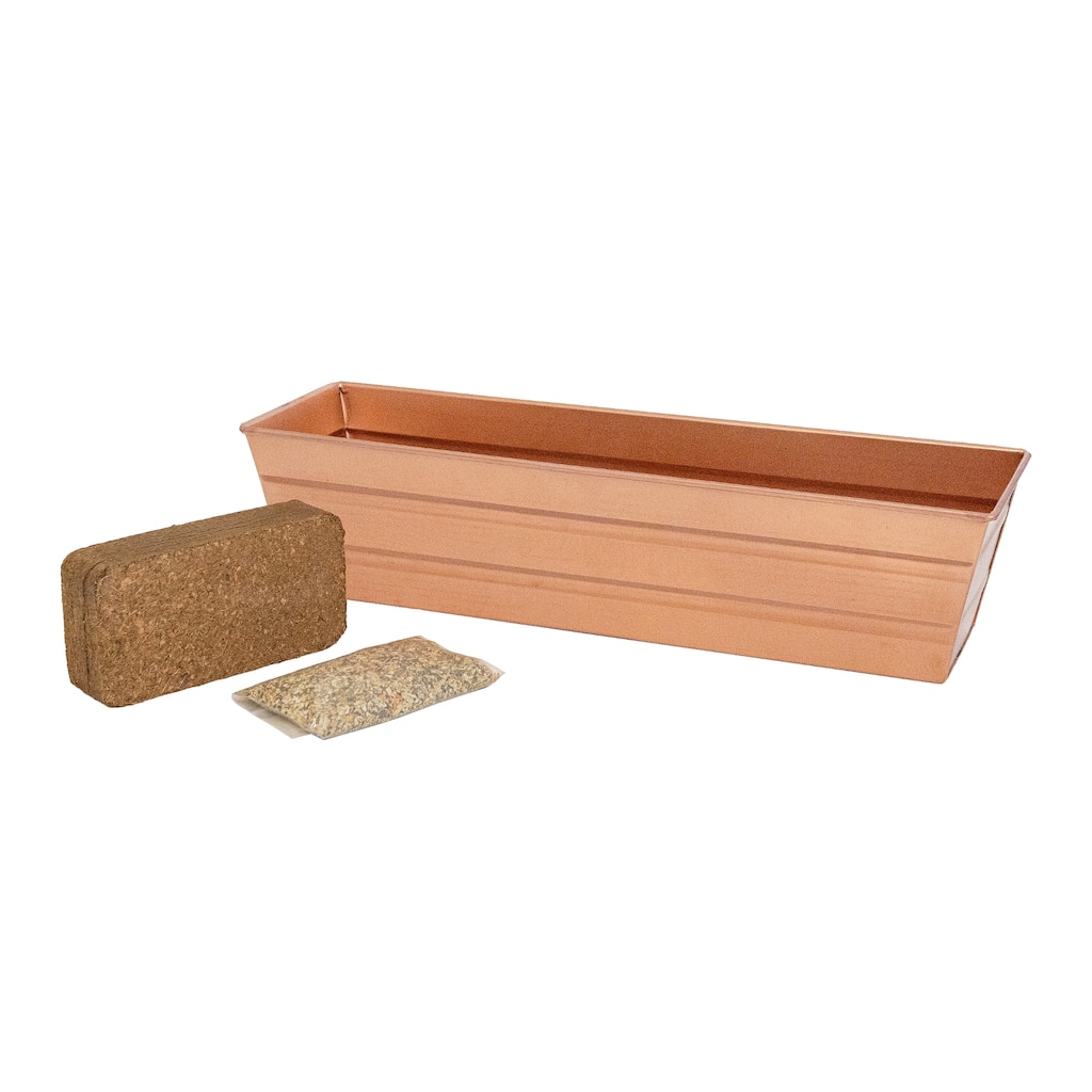 Achla Designs 22" W Galvanized Steel Bloom Box Garden Growing Kit
