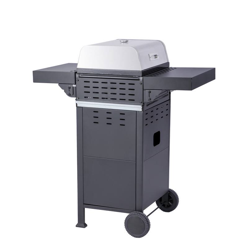 24600 BTU Output 2-Burner Propane Gas BBQ Grill, Pizza Oven with Wire Enamel Cooking Grids For Outdoor Barbecue