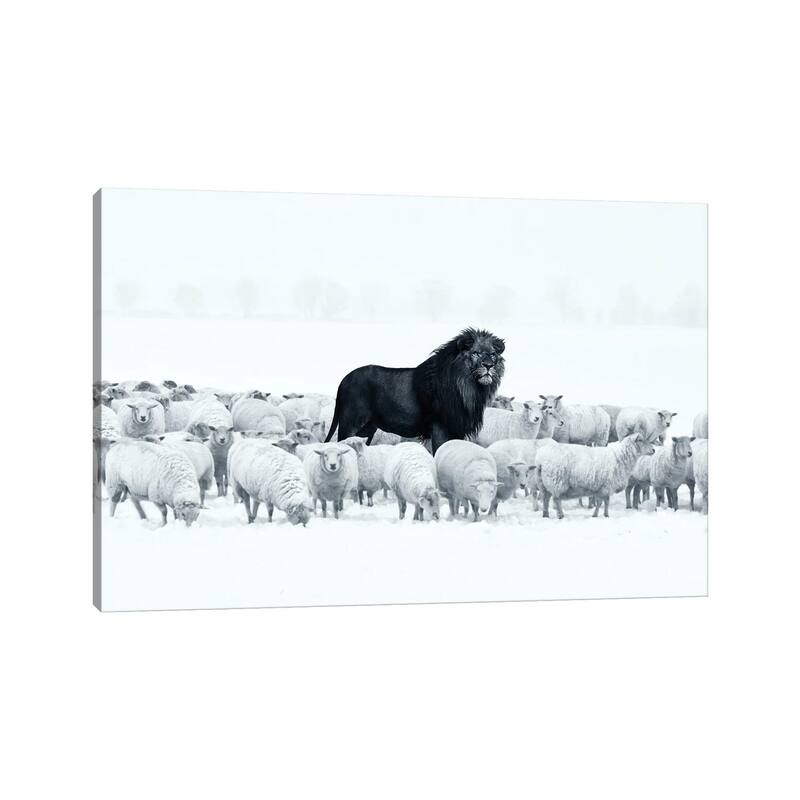 iCanvas "Lion Among Sheep" by Ruvim Noga Canvas Print