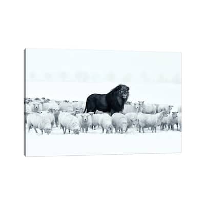 iCanvas "Lion Among Sheep" by Ruvim Noga Canvas Print