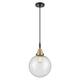 Option Black Antique Brass / Seedy Shade