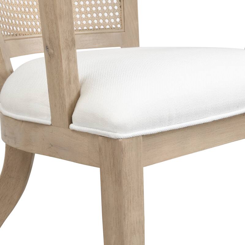 Currant Velvet and Cane Upholstered Dining Chairs by Christopher Knight Home- Set of 2