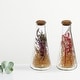 IH Casa Decor Dried Floral Arrangement In Glass Triangular Tube Asstd ...