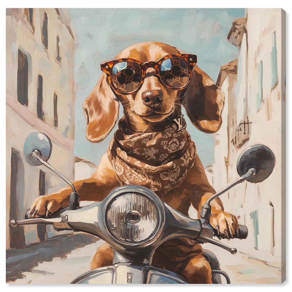 Doxxie on a Scooter Drive Canvas by Art Remedy, Gallery Wrapped