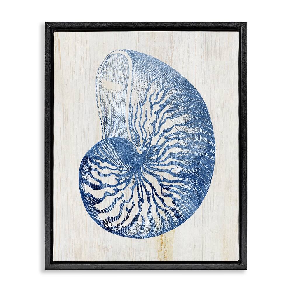 Stupell Blue Nautilus Shell Framed Floater Canvas Wall Art Design By Susan Arnot