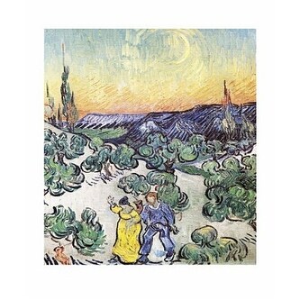 Van sale gogh vikidia
