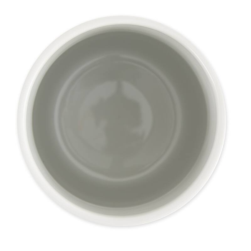Bone Dry Ceramic Treat Canister