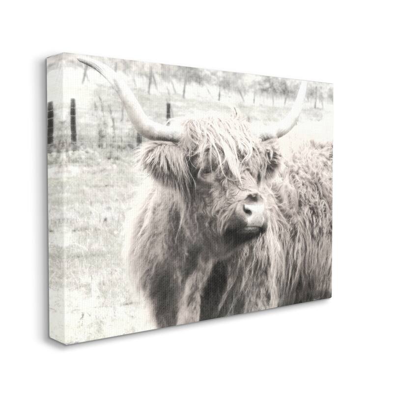 Stupell Rustic Farm Highland Cattle Cow Monochrome Photography Canvas Wall Art, Design by Graffitee Studios